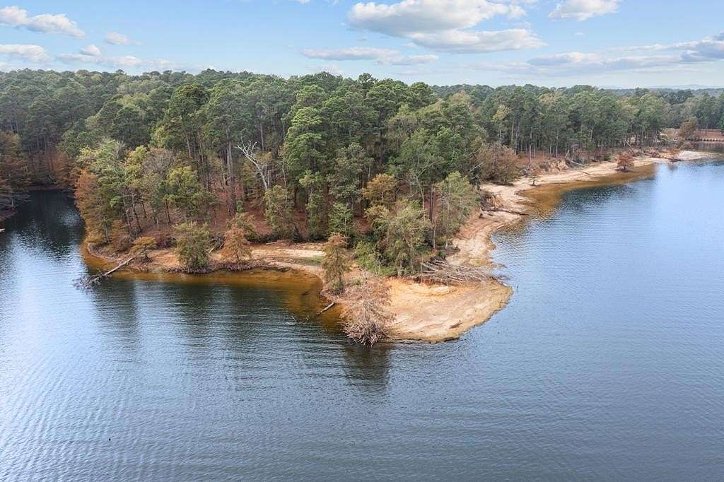 1.24 Acres of Residential Land for Sale in Milam, Texas