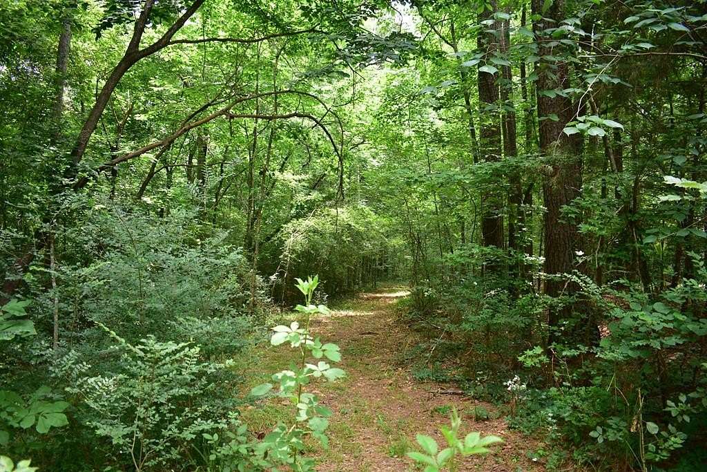 5.2 Acres of Residential Land for Sale in Nacogdoches, Texas