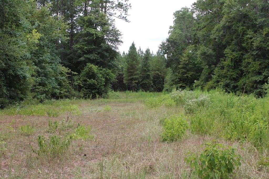 124 Acres of Recreational & Residential Land for Sale in Livingston, Texas