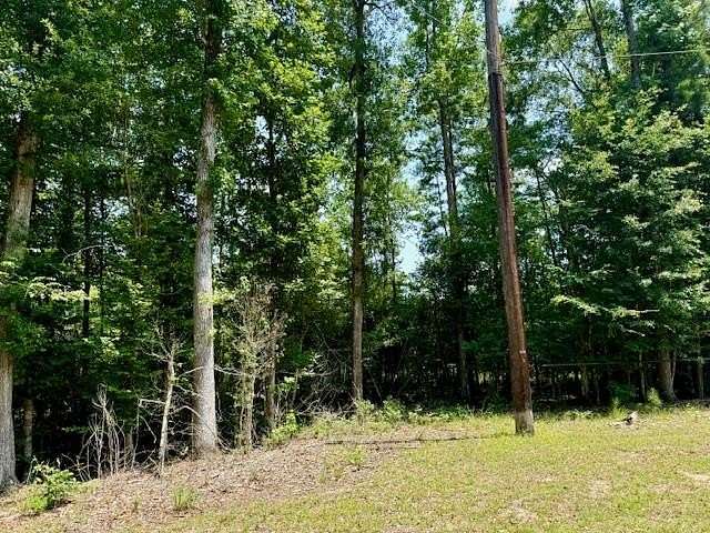 29.8 Acres of Land for Sale in Jasper, Texas