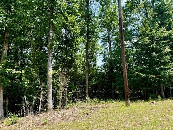 29.8 Acres of Land for Sale in Jasper, Texas