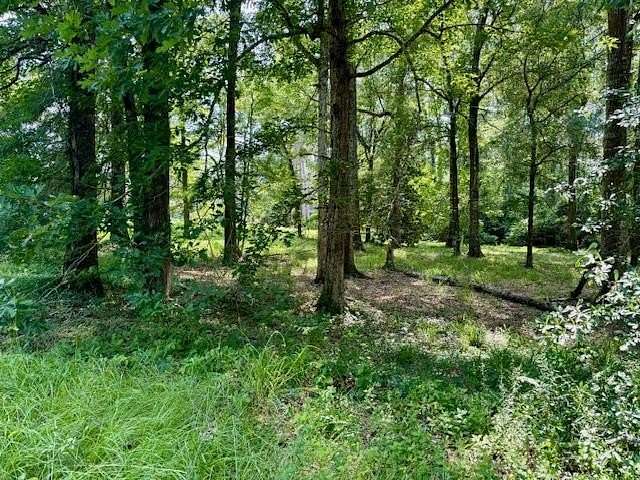 0.48 Acres of Residential Land for Sale in Jasper, Texas