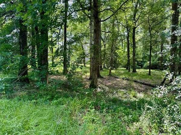 0.48 Acres of Residential Land for Sale in Jasper, Texas