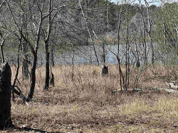 1 Acre of Residential Land for Sale in Brookeland, Texas