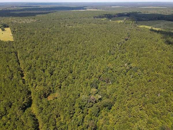 403 Acres of Recreational Land for Sale in Thicket, Texas