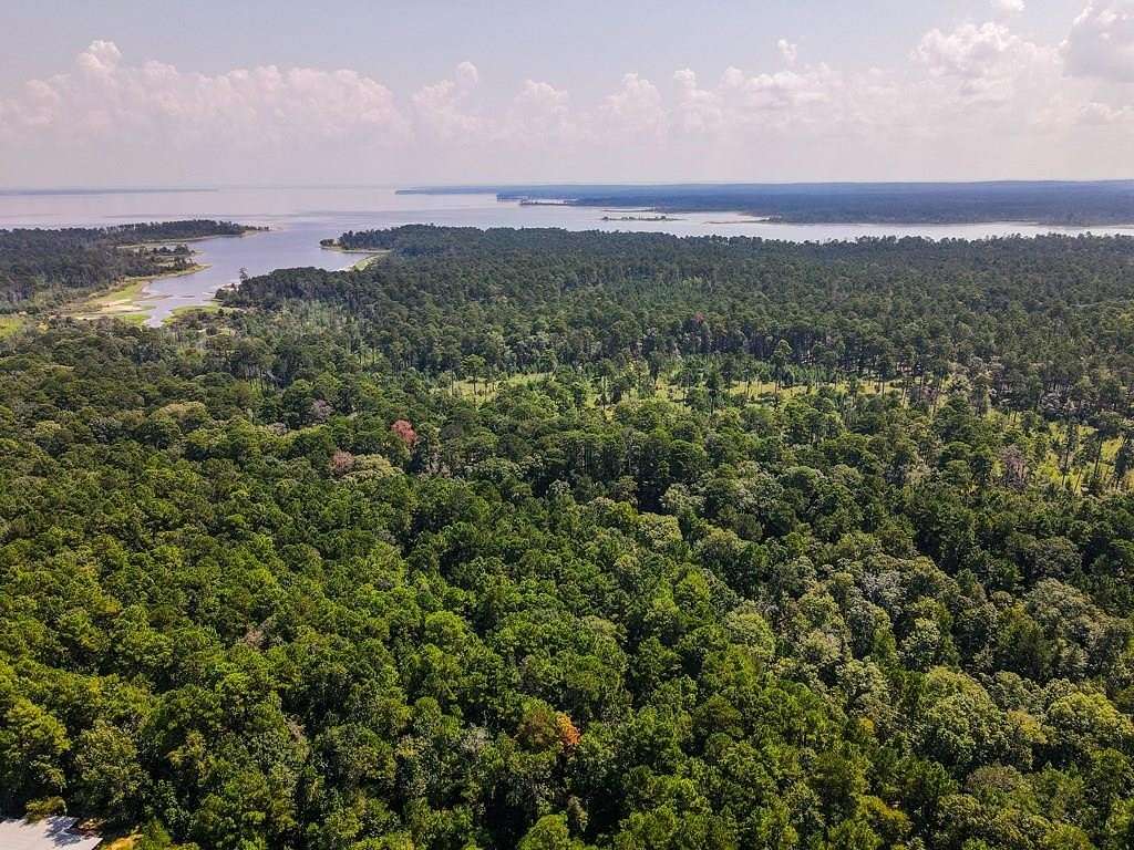 38.2 Acres of Recreational Land for Sale in Zavalla, Texas