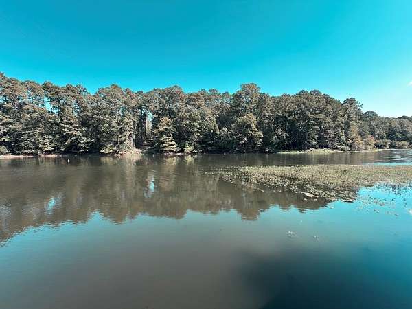 6.7 Acres of Land with Home for Sale in Hemphill, Texas