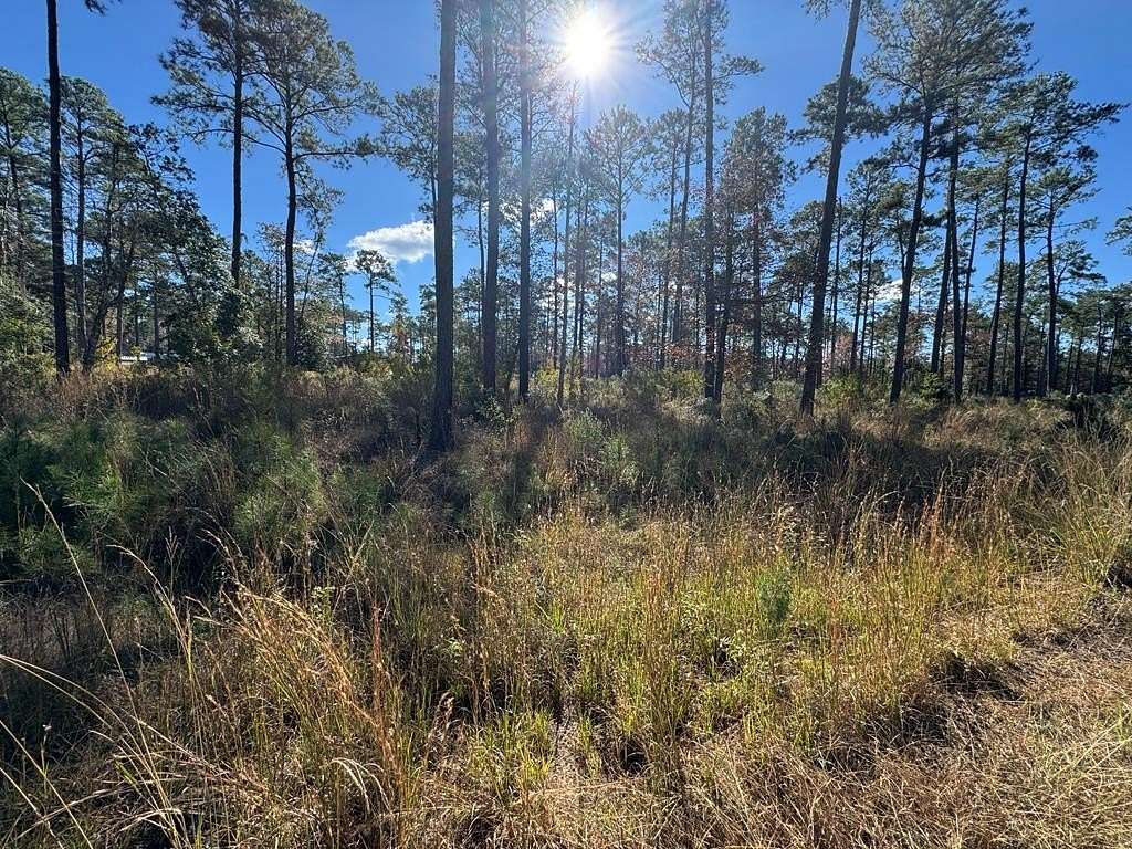 1.14 Acres of Residential Land for Sale in Brookeland, Texas