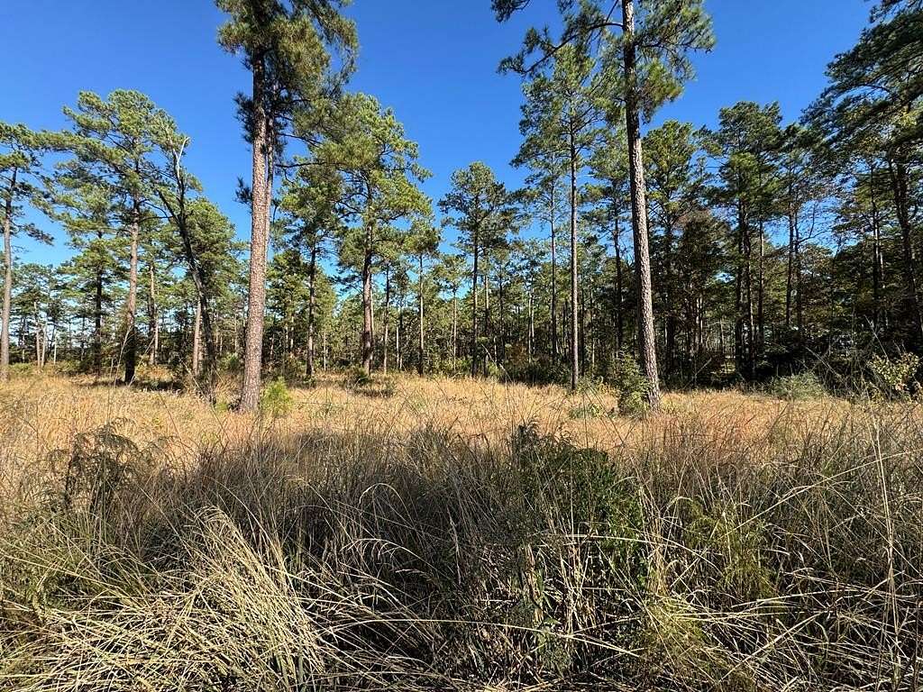 1.12 Acres of Residential Land for Sale in Brookeland, Texas