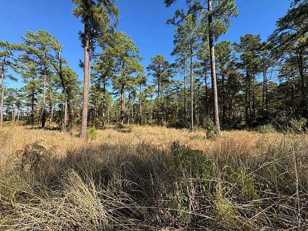1.12 Acres of Residential Land for Sale in Brookeland, Texas