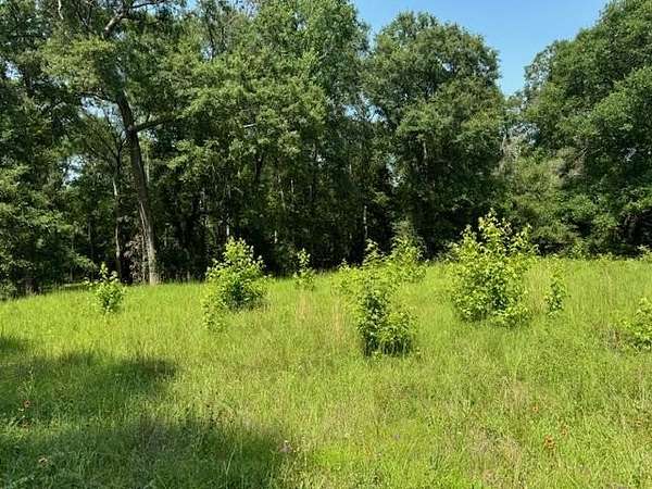 0.53 Acres of Residential Land for Sale in Jasper, Texas