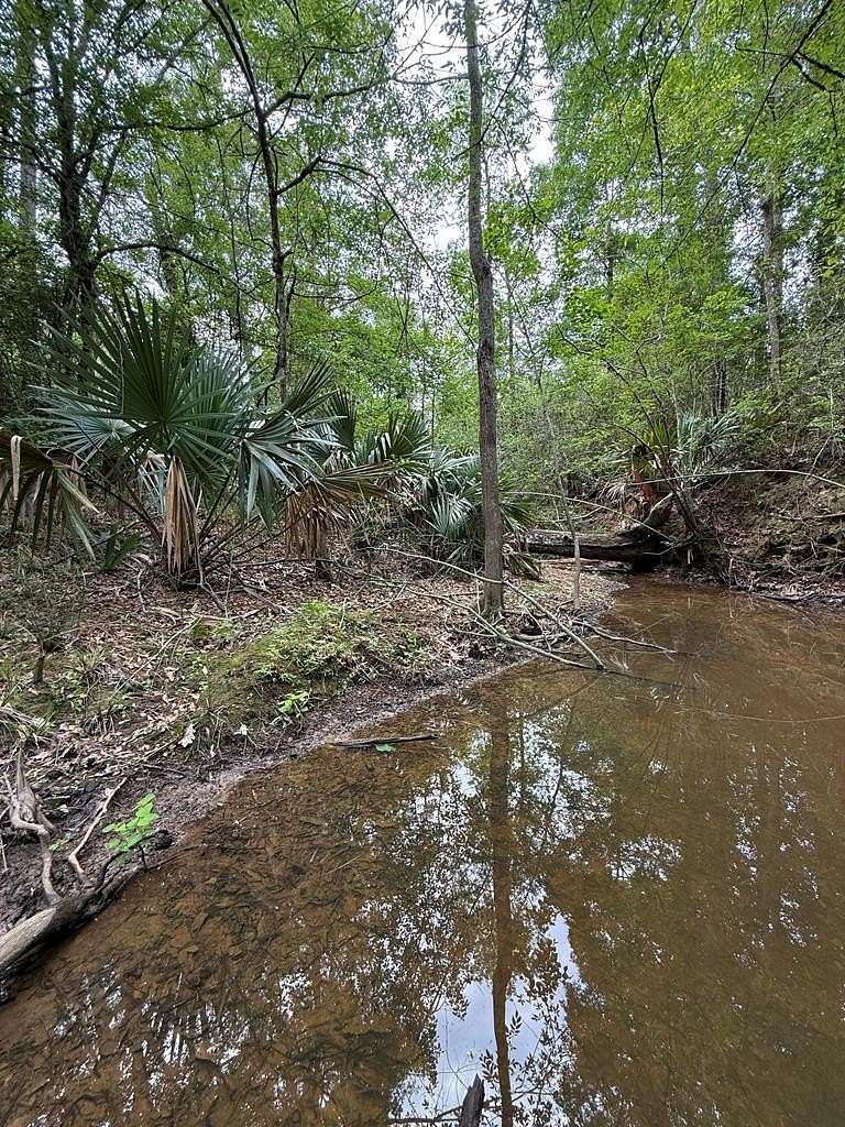 250 Acres of Recreational Land for Sale in Saratoga, Texas