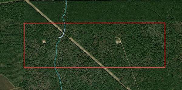 250 Acres of Recreational Land for Sale in Saratoga, Texas