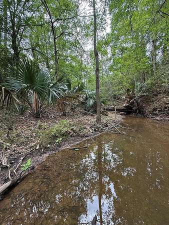 250 Acres of Recreational Land for Sale in Saratoga, Texas