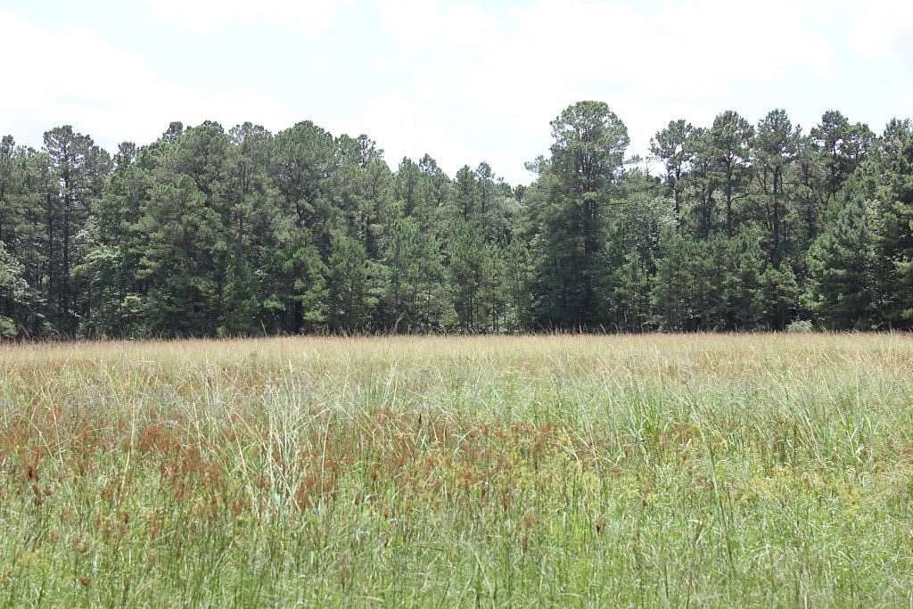3.34 Acres of Residential Land for Sale in Huntington, Texas