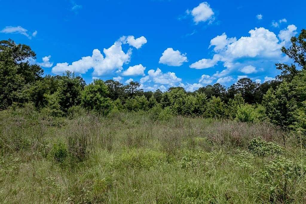 20 Acres of Recreational & Residential Land for Sale in Huntington, Texas