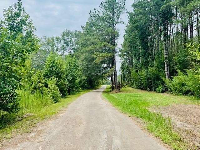 14 Acres of Land for Sale in Kirbyville, Texas