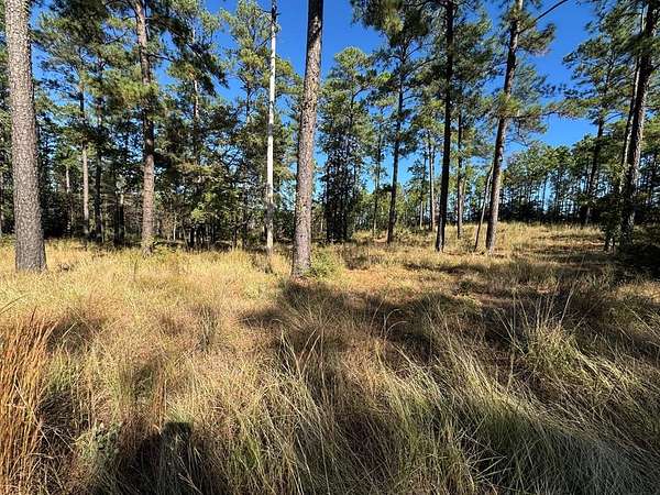 1.3 Acres of Residential Land for Sale in Brookeland, Texas