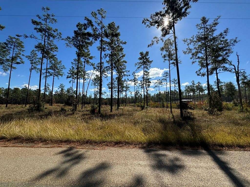 1 Acre of Land for Sale in Brookeland, Texas
