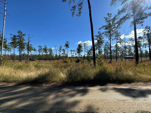 1 Acre of Land for Sale in Brookeland, Texas