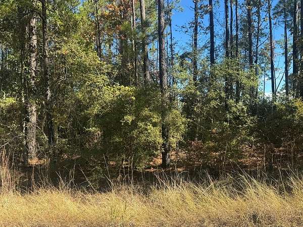 1 Acre of Land for Sale in Brookeland, Texas