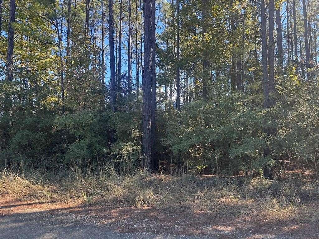 1 Acre of Land for Sale in Brookeland, Texas