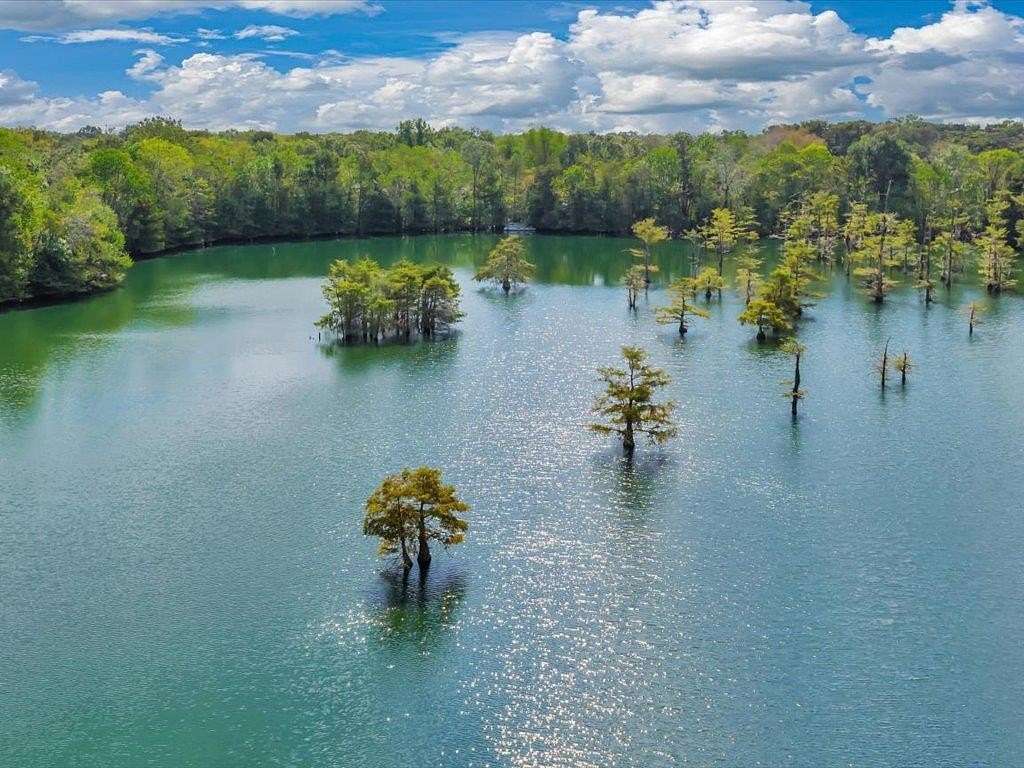 241 Acres of Land with Home for Sale in Dayton, Texas