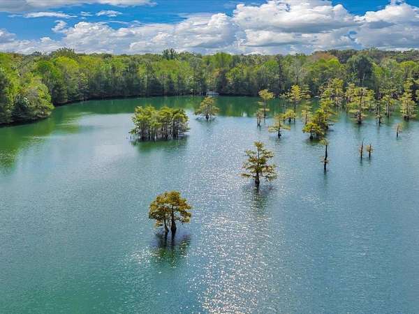 241 Acres of Land with Home for Sale in Dayton, Texas