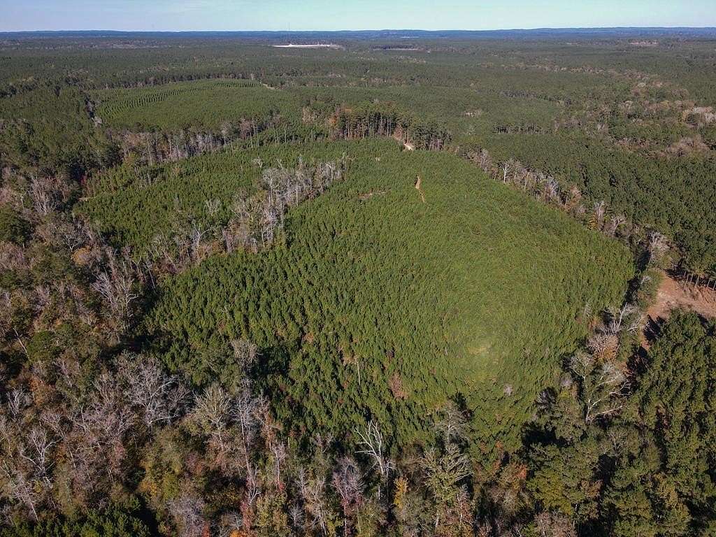 42.5 Acres of Recreational Land for Sale in Bronson, Texas