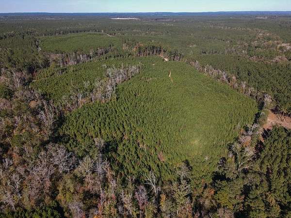 42.5 Acres of Recreational Land for Sale in Bronson, Texas