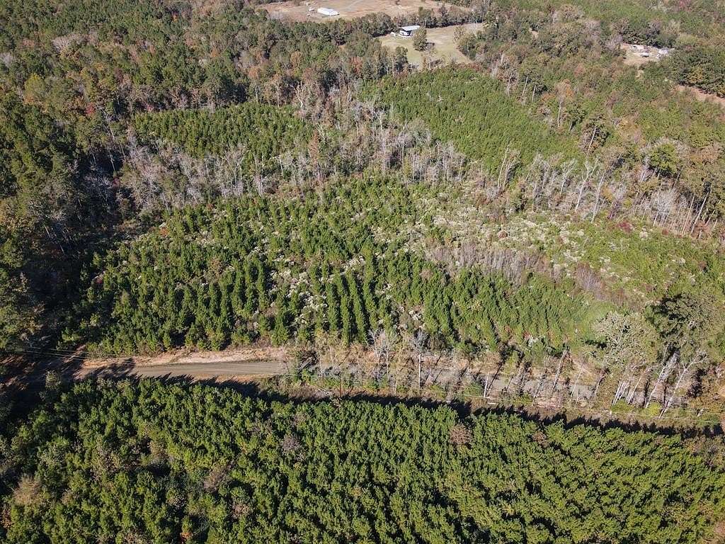 16 Acres of Land for Sale in Bronson, Texas