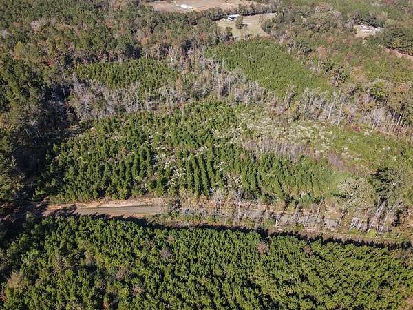 16 Acres of Land for Sale in Bronson, Texas