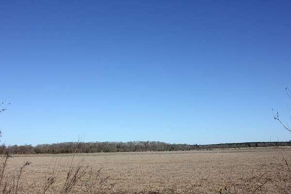 11.5 Acres of Land for Sale in Lufkin, Texas