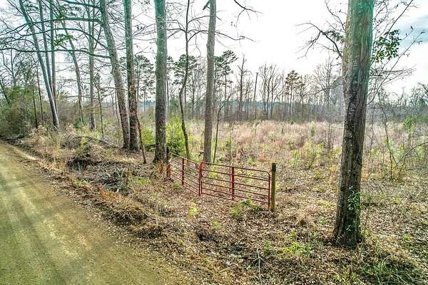 15 Acres of Land for Sale in Broaddus, Texas
