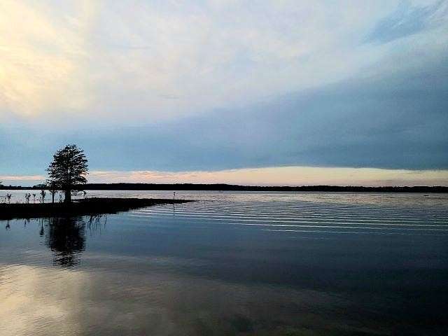 1 Acre of Residential Land for Sale in Brookeland, Texas