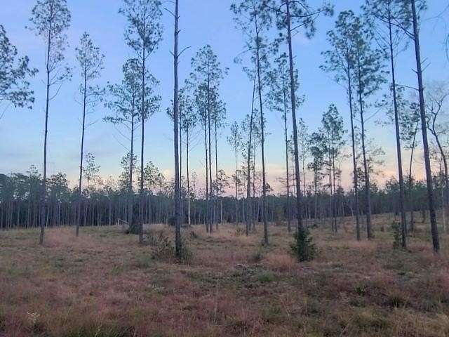 1 Acre of Residential Land for Sale in Brookeland, Texas