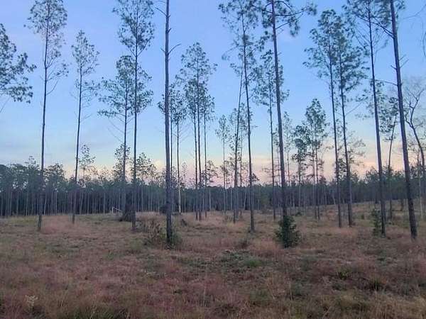 1 Acre of Residential Land for Sale in Brookeland, Texas