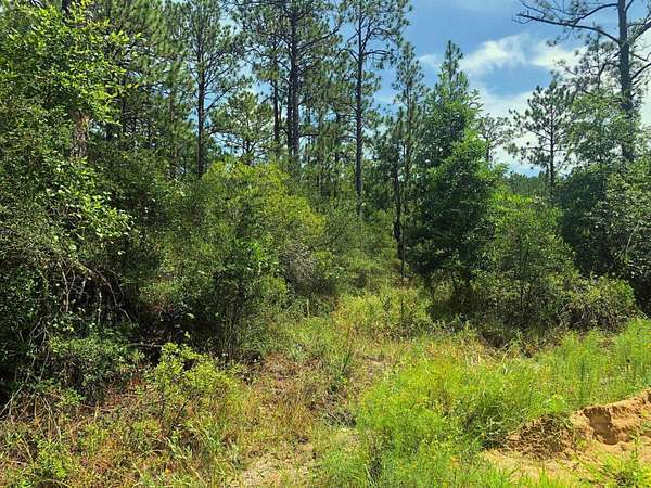 0.26 Acres of Residential Land for Sale in Brookeland, Texas