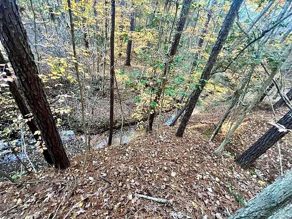 15 Acres of Land for Sale in Milam, Texas