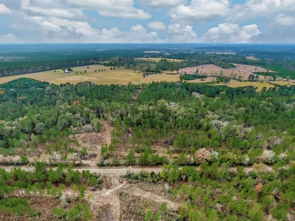 30 Acres of Recreational Land for Sale in Groveton, Texas
