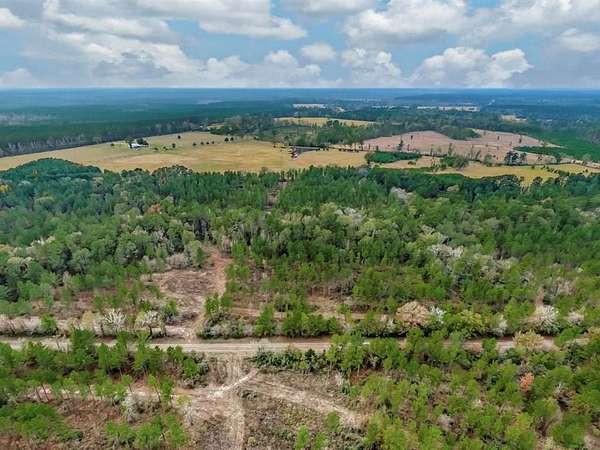 30 Acres of Recreational Land for Sale in Groveton, Texas