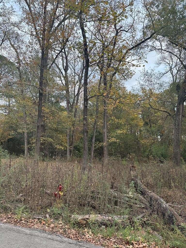 0.34 Acres of Residential Land for Sale in Lufkin, Texas