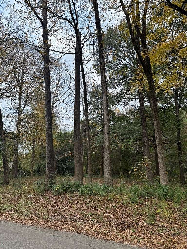 0.34 Acres of Residential Land for Sale in Lufkin, Texas