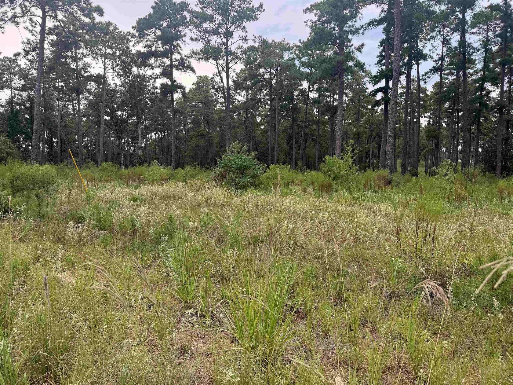 1 Acre of Residential Land for Sale in Brookeland, Texas