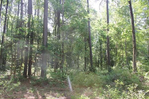 8.39 Acres of Residential Land for Sale in Pollok, Texas