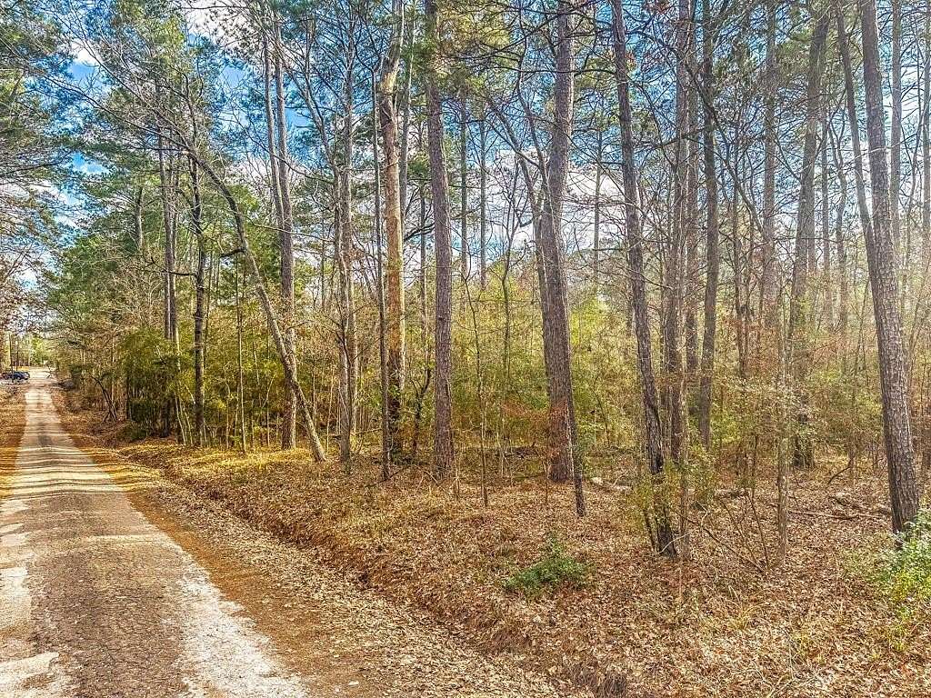 0.32 Acres of Land for Sale in Zavalla, Texas