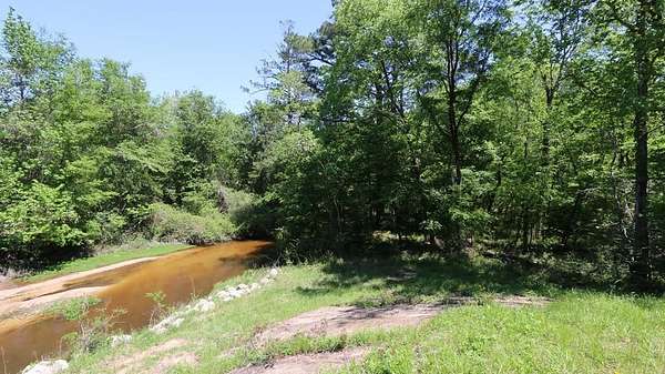 6.71 Acres of Land for Sale in Burkeville, Texas