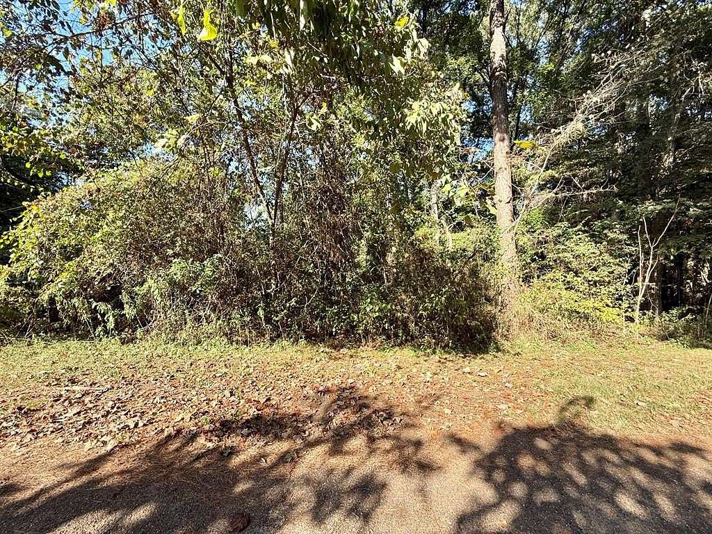0.5 Acres of Residential Land for Sale in Hemphill, Texas