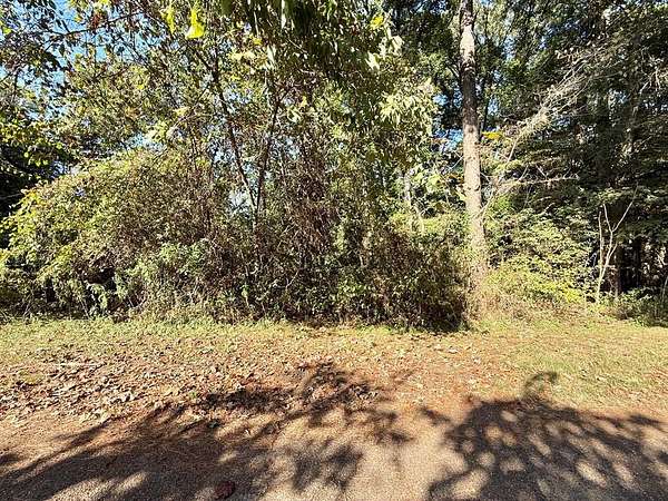 0.5 Acres of Residential Land for Sale in Hemphill, Texas