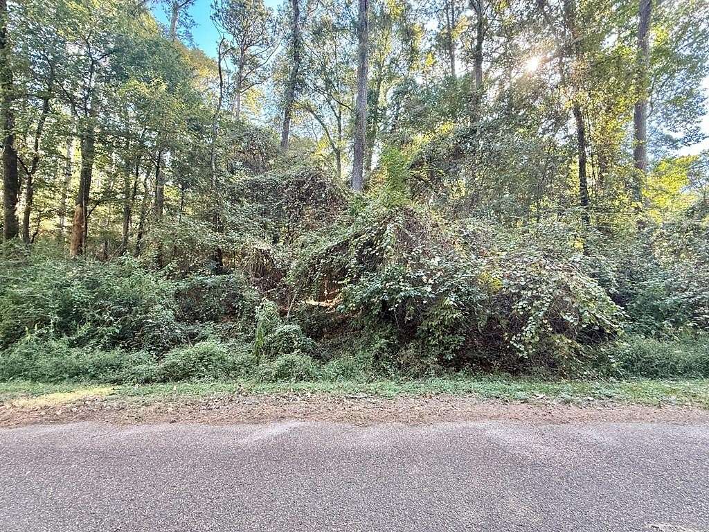 0.3 Acres of Residential Land for Sale in Hemphill, Texas